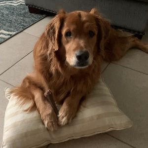 Meet your Posher, Chad